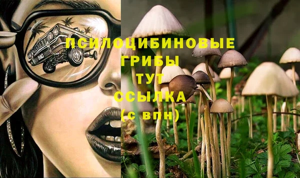 спиды Абаза