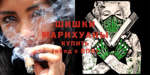 гидра Алексеевка