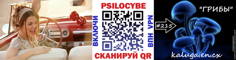 Галлюциногенные грибы мицелий  как найти   Бавлы 